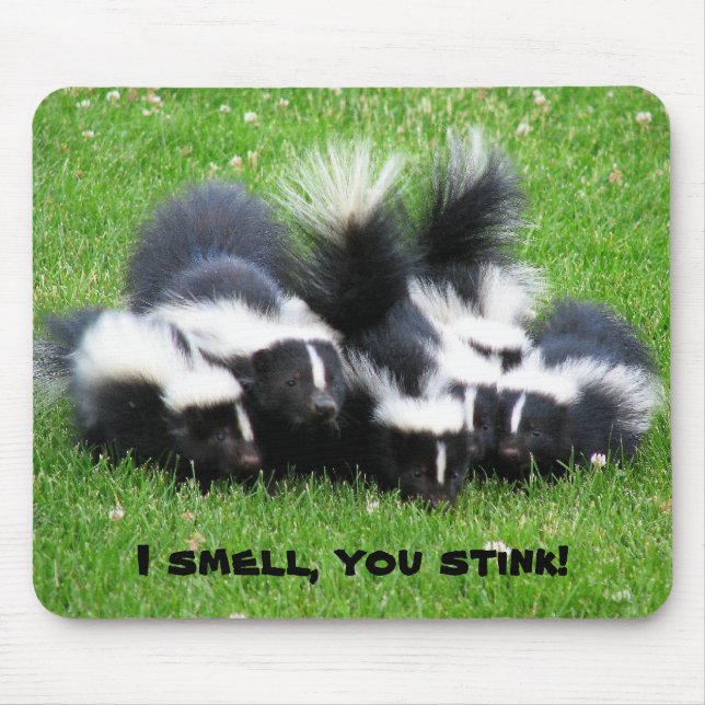 I SMELL You STINK! Mouse Pad (Front)