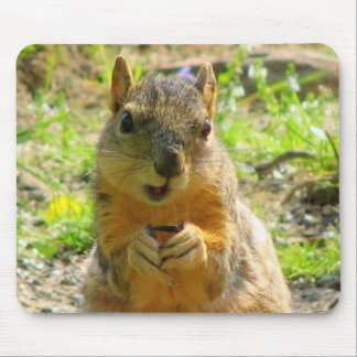 I Smile for Seeds & Sales Mouse Pad