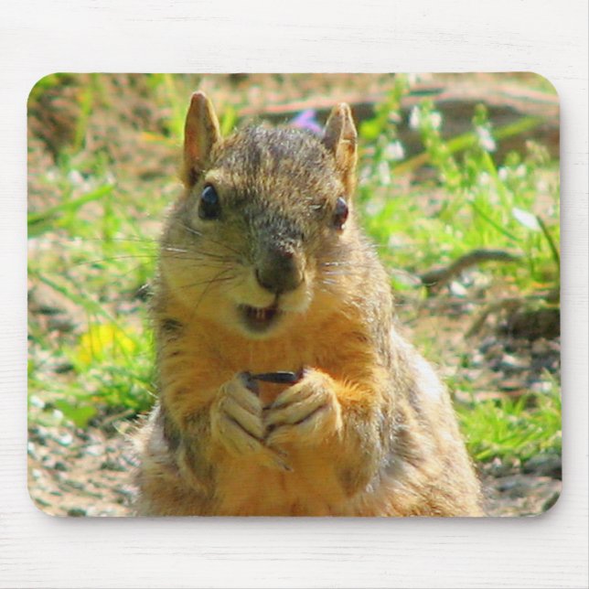 I Smile for Seeds & Sales Mouse Pad (Front)