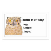 I spotted an owl today