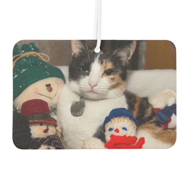 I Spy A Calico Car Air Freshener (Back)