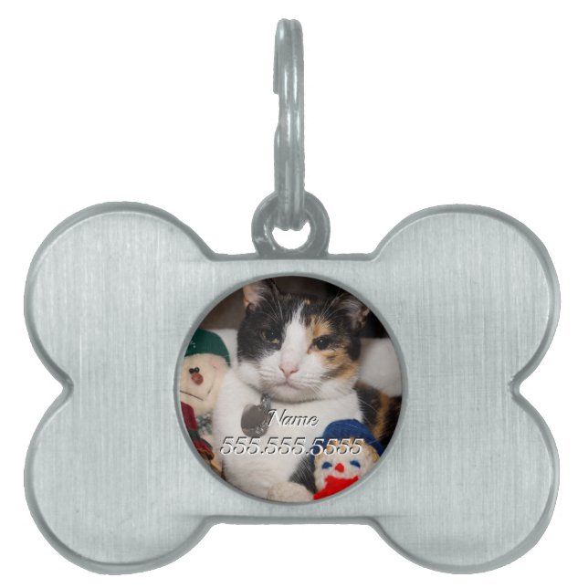 I Spy A Calico Pet Tag (Front)