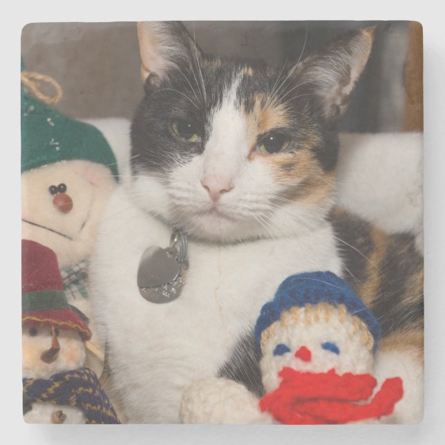 I Spy A Calico Stone Coaster (Front)