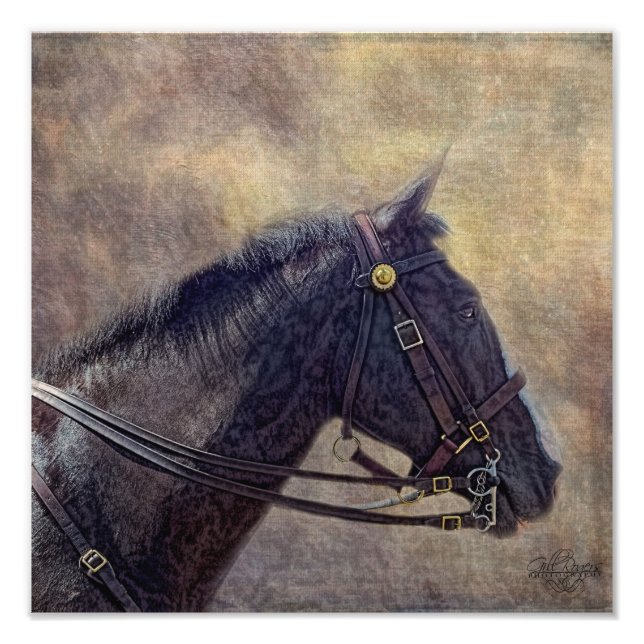 I Spy Photo Print (Front)