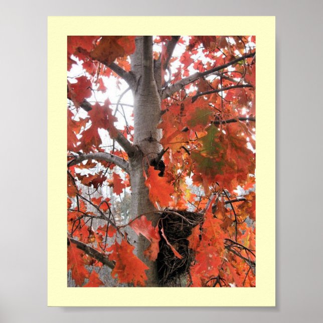 I Spy... Poster (Front)