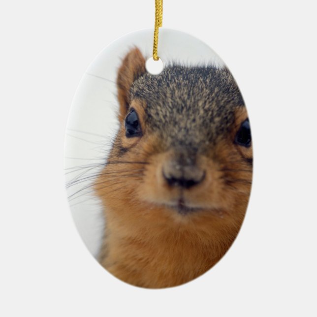 I, Squirrel Ceramic Tree Decoration (Front)