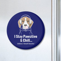 I Stay Pawsitive and Chill Beagle Funny Dog