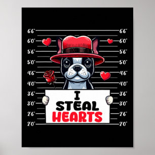 I Steal Cute Hearts Valentine's Day Boston Terrier Poster