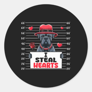 I Steal Cute Hearts Valentine's Day Cane Corso Own Classic Round Sticker