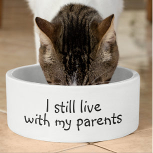 I Still Live With My Parents Dog Funny