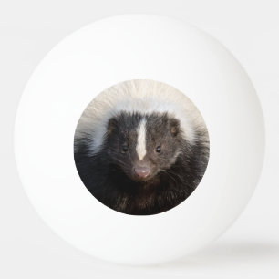I Stink At Ping Pong Ball