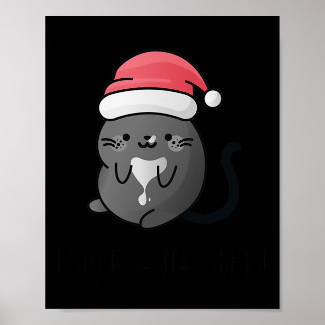 I Stole Santa's Gifts - Cat Cosy Mystery Christmas Poster (Front)