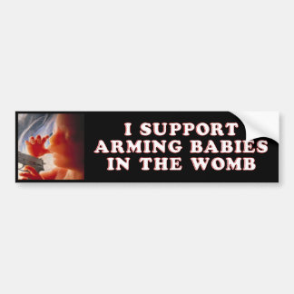 I Support Arming Babies in the Womb Bumper Sticker