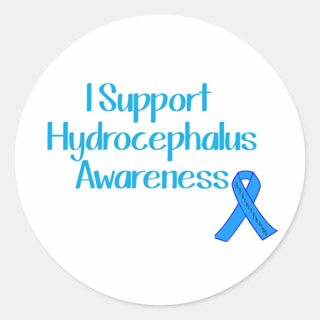 I Support Hydrocephalus Awareness Classic Round Sticker (Front)