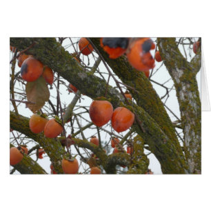 "I sure like hanging out with you."