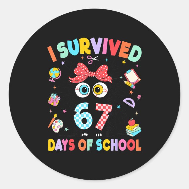 I Survived 67 Days Of School Six Seven Cat Teacher Classic Round Sticker (Front)