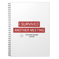 I Survived Another Meeting