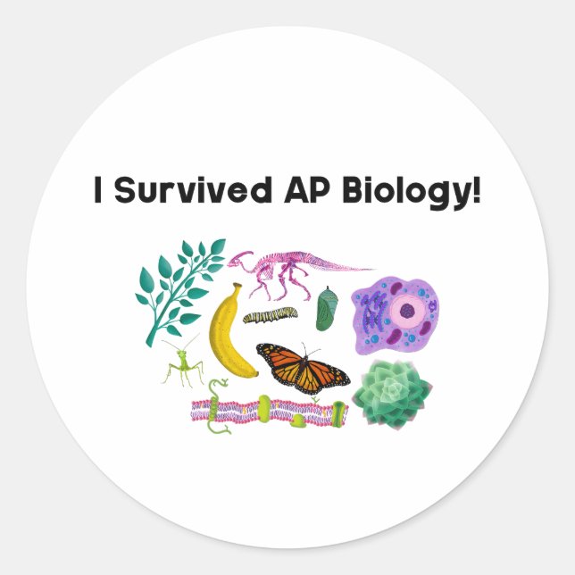 I Survived AP Biology! Classic Round Sticker (Front)
