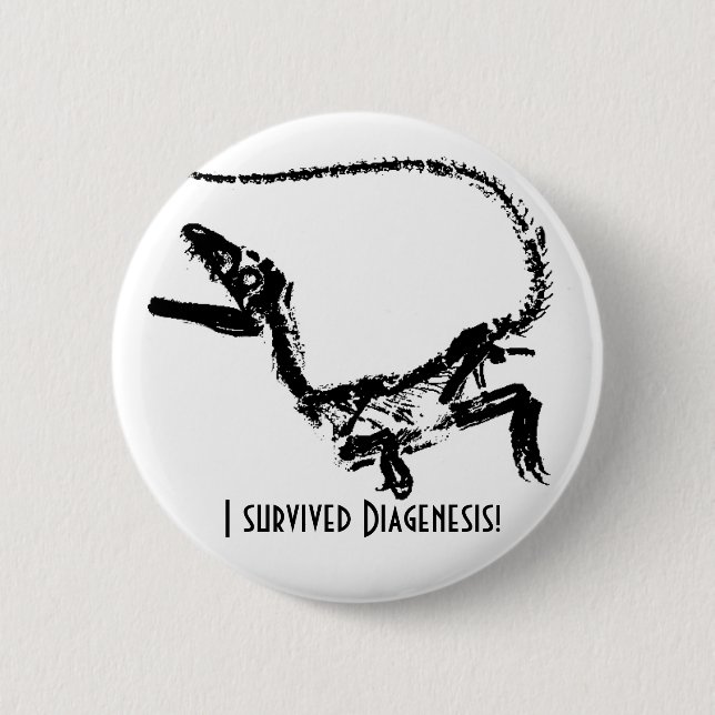 I Survived Diagenesis Boton 6 Cm Round Badge (Front)