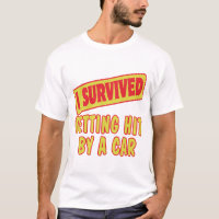 I SURVIVED GETTING HIT BY A CAR