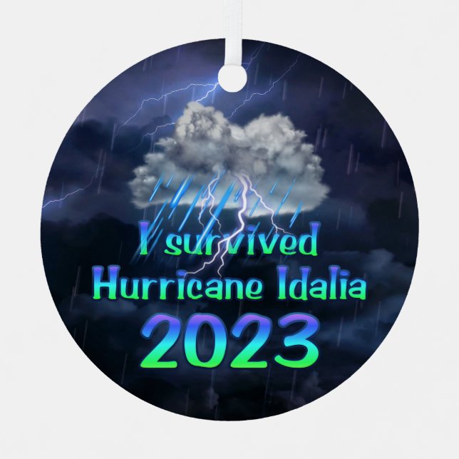 I survived Hurricane Idalia 2023 Metal Tree Decoration (Front)