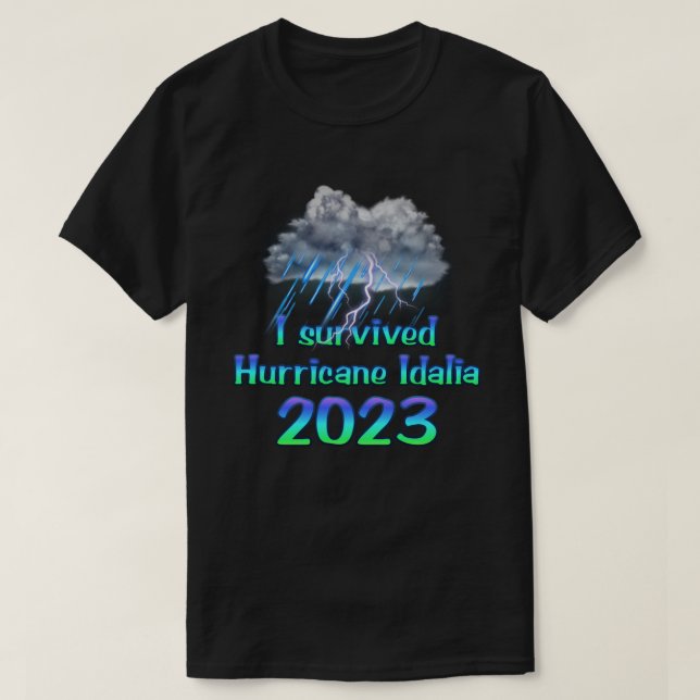 I survived Hurricane Idalia 2023 T-Shirt (Design Front)