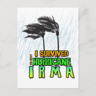 I survived Hurricane Irma Postcard