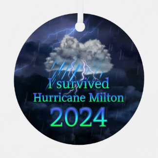 I survived Hurricane Milton 2024 Metal Tree Decoration