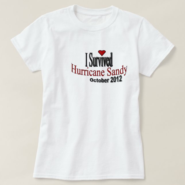 I Survived Hurricane Sandy T-Shirt (Design Front)