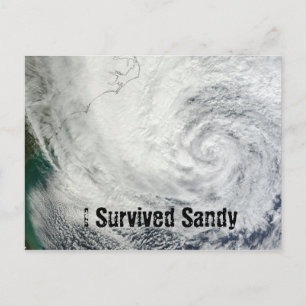 I Survived Sandy Postcard