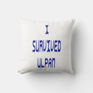 I Survived Ulpan Cushion