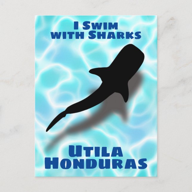 I Swim with Sharks Utila, Honduras Whale Shark Postcard (Front)