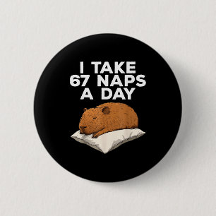 I Take 67 Naps A Day Funny Capybara Six Seven Meme 6 Cm Round Badge