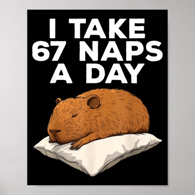 I Take 67 Naps A Day Funny Capybara Six Seven Meme Poster (Front)