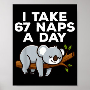 I Take 67 Naps A Day Funny Koala Six Seven Meme  Poster