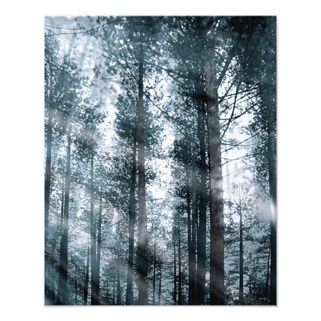 I Talk to the Trees... Photo Print (Front)