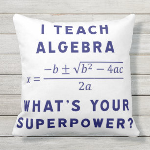 i teach algebra outdoor cushion