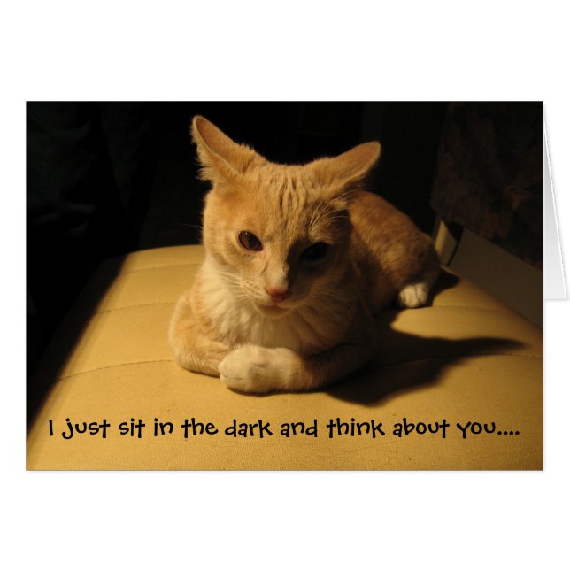 I Think About You Cat Card (Front Horizontal)
