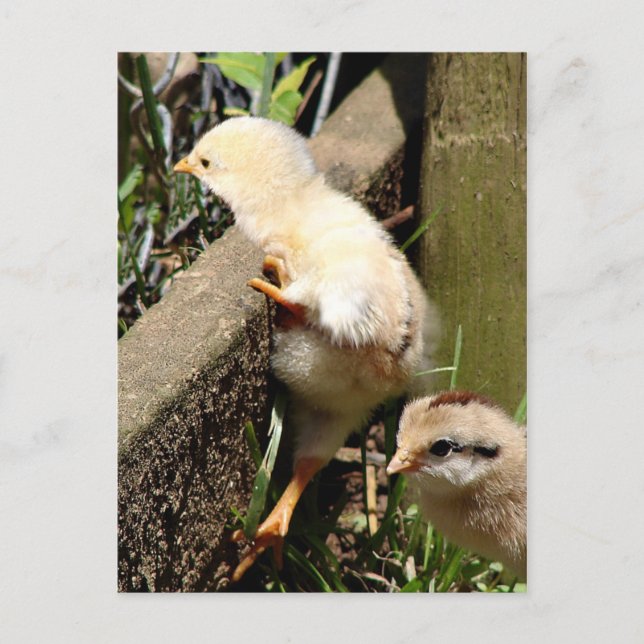 I think I can Postcard (Front)