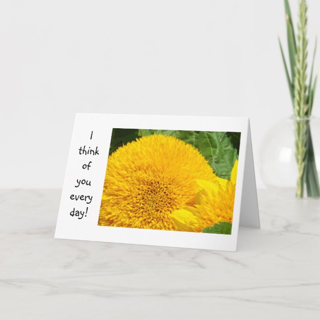 I think of you every day! Cards Thinking of You (Front)