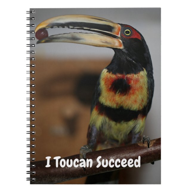 I Toucan Succeed Notebook (Front)