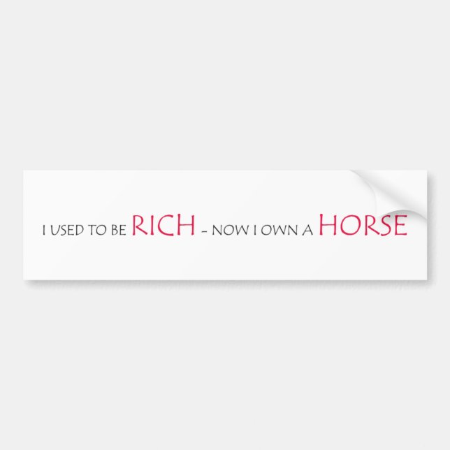 I used to be rich bumper sticker (Front)
