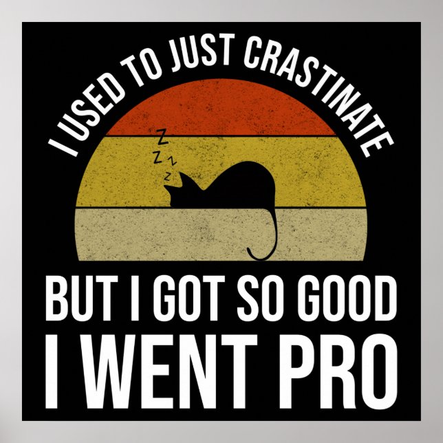 I Used To Just Crastinate Poster (Front)
