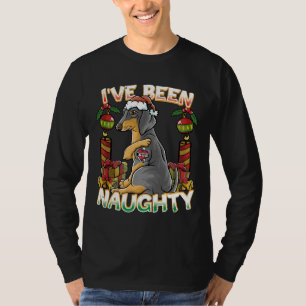 I Ve Been Naughty Dachshund Dog With Santa Claus H T-Shirt