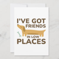 I’ve Got Friends In Low Places