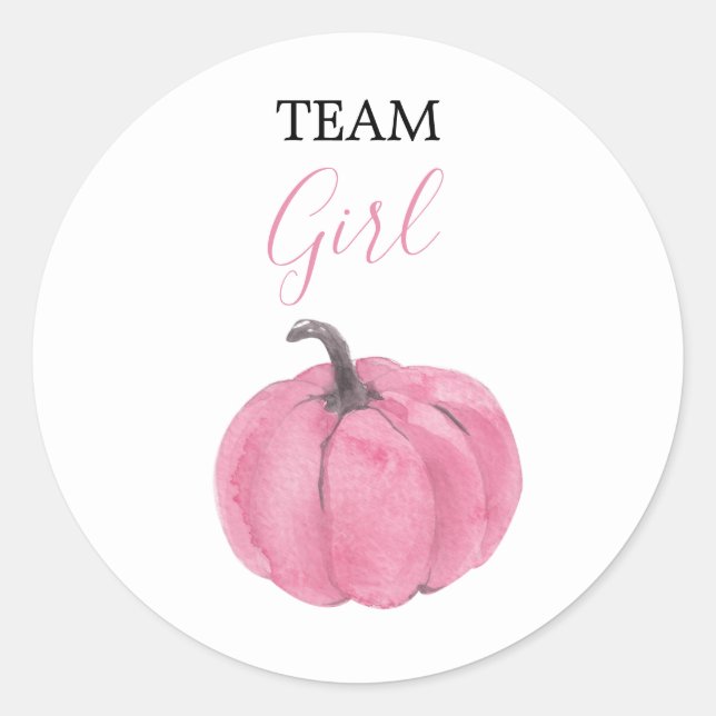 I VOTE Blush Pink Gender Reveal Baby Shower Game Classic Round Sticker (Front)