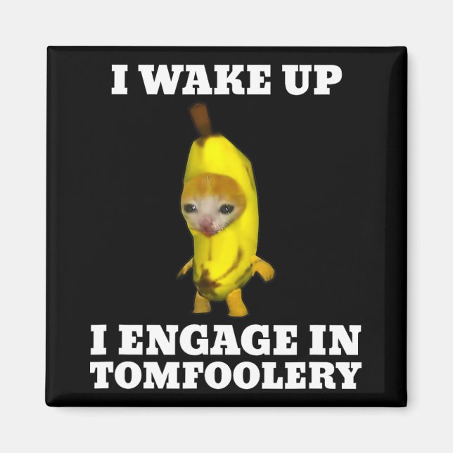 I Wake Up I Engage In Tomfoolery Cat Meme  Magnet (Front)