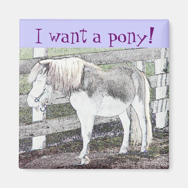 I want a pony! Magnet (Front)