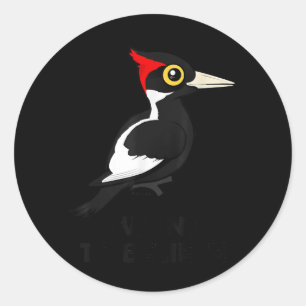 I Want To Believe Ivory-billed Woodpecker Birdorab Classic Round Sticker