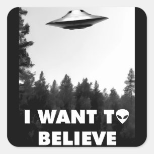 I want to believe square sticker